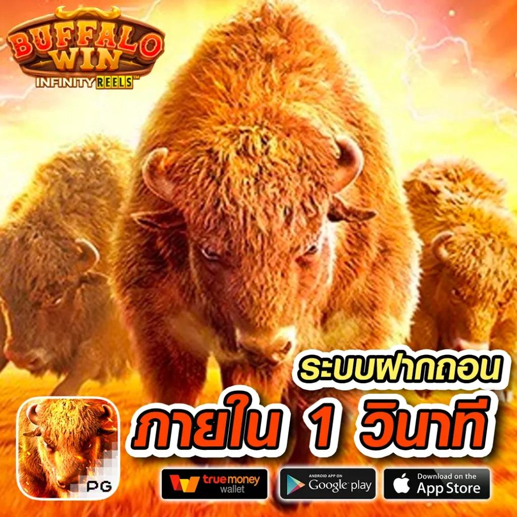 ผลบอลสดโก คาสิโนออนไลน์ครบวงจร ระบบมั่นคงปลอดภัย100%